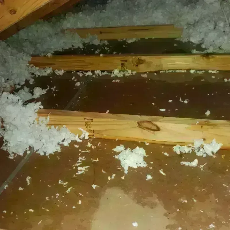 Attic Water Damage in Byron, IL